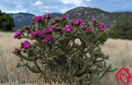 Desert Skyline Getaway - Single Story - 3 Kings - Foto 66