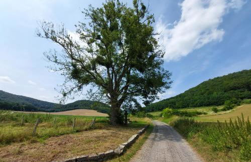 Ferienwohnung MW 4a bis 66 m2 Höxter Weserbergland Weser 1-2P 1SZi mBad 3-4P 2SZi m2Bäder Terrasse Wäsche Endreinigung Self CheckIn - Foto 21