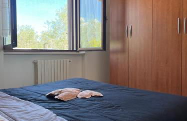 Domus Caruso - Foto 18