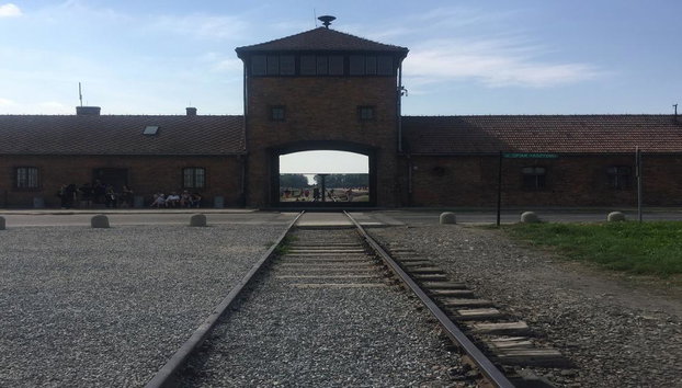 Excursión de un día completo a Auschwitz-Birkenau desde Varsovia en tren - Foto 2