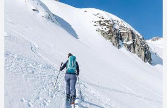Les racines et les cimes - Foto 17