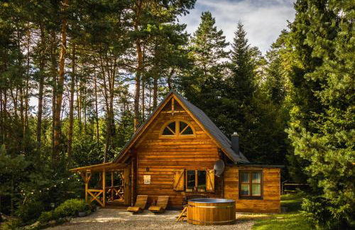 Smerekowiec Domek w lesie - Beskid Niski - Foto 2