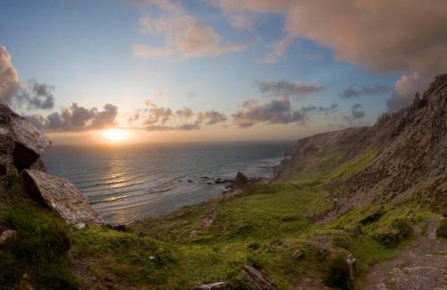 Silver Crooks - Foto 30