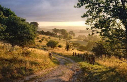 1 Country House Game Room BBQ Near Nashville TA - Foto 78