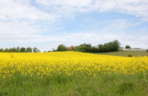 wassernahes Ferienhaus mit Meerblick und Schwimmbadnutzung in Sellin - Ferienhaus Rohrweihe - Foto 31