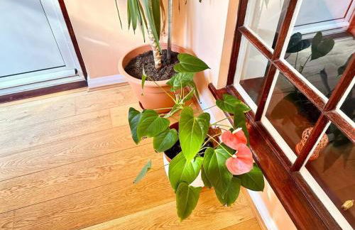 3 Bedroom House in DA15 - Foto 22