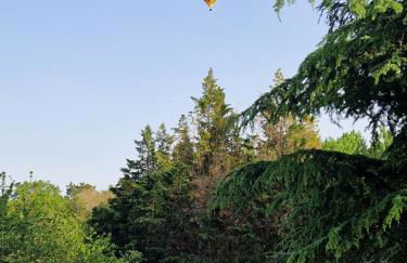 Gîte La Closerie des Cèdres - Foto 30