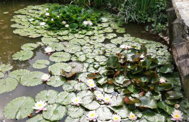 Izerski Poranek - Foto 29