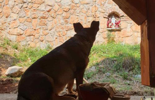 Mary's Garden - Foto 25