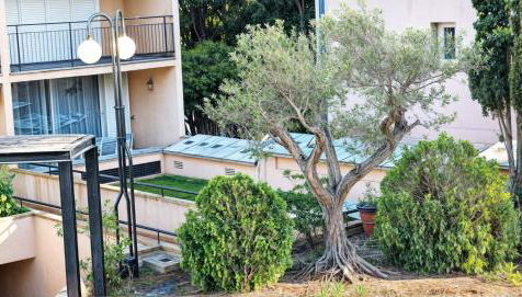 Precioso Apartamento Reformado en 1ra Linea de Mar sin vistas - Foto 2, Garden view