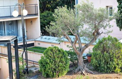 Precioso Apartamento Reformado en 1ra Linea de Mar sin vistas - Foto 2