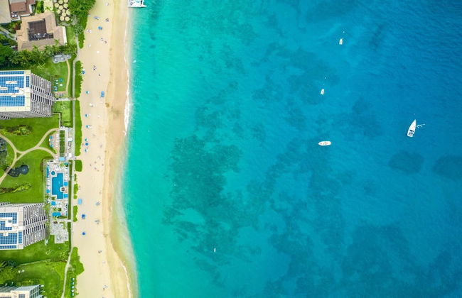 The Whaler by KBM - Foto 71