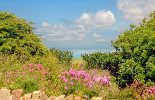 Druidston Old Farmhouse - Foto 25