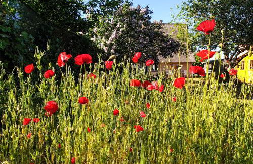 Fischerhaus am Strom - Foto 8