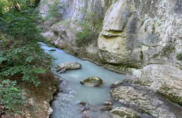 Casa Olivastri - Foto 46