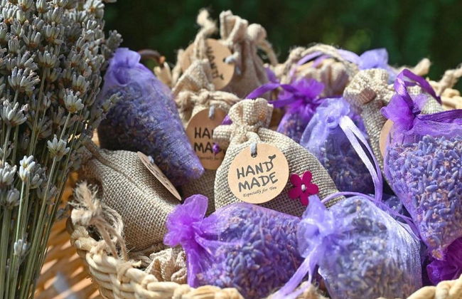 Lavanda Land - Villatanya Mrežnica - Foto 31