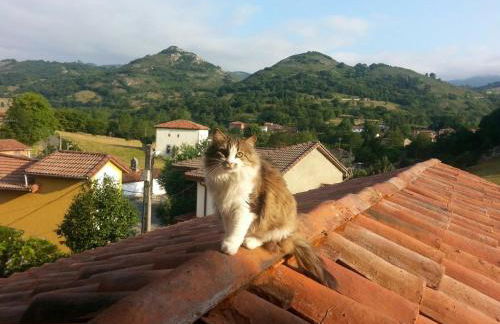 Posada El Pareón - Photo 52