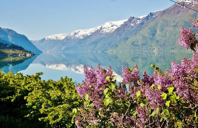 AMAZING HARDANGER FJORD: Private guided round trip from Bergen, 10 hours - Photo 1