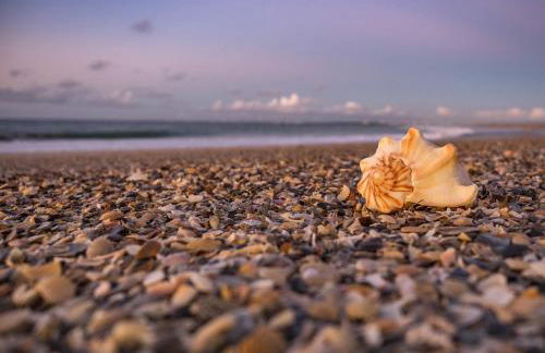 Vacanze Residence Mimose - Foto 38