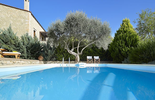 Vederi Estate - Photo 61