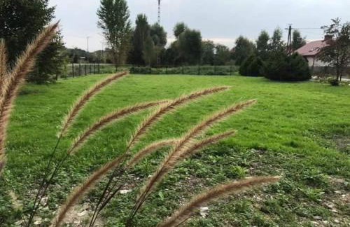 Zielony Domek - Foto 7