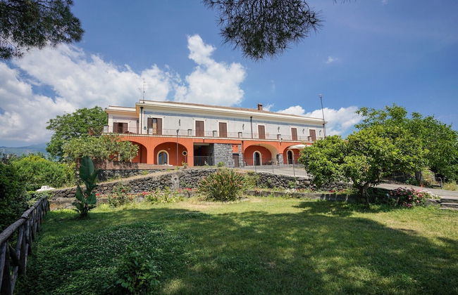 Il Sentiero degli Ulivi - Foto 1