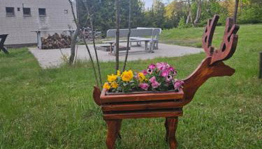 Rykowisko - domki całoroczne nad jeziorem i rzeką - Foto 4