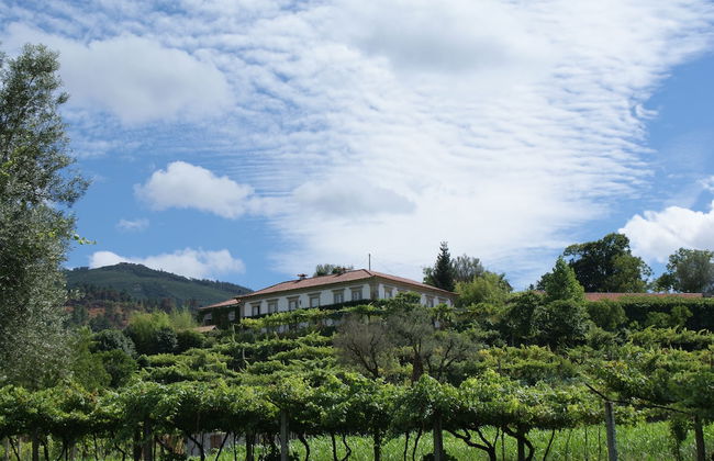 Casa da Várzea - Foto 28