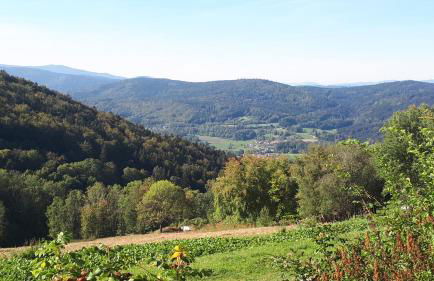 Ferienapartment 38 Sonnenwald - Foto 73