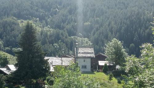 HOME SWEET HOME - Foto 4, Garden, Garden view