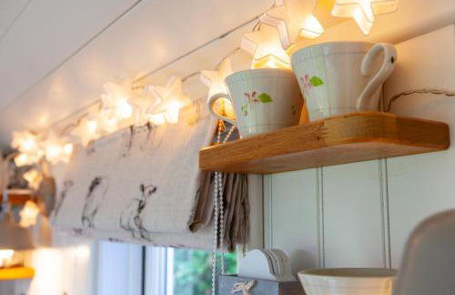 Starlight Shepherd Hut - Foto 8