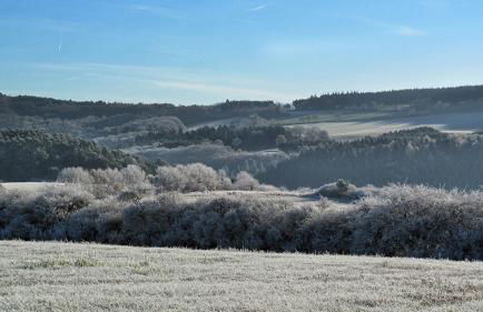 Zum Pinken Schaf - Photo 39
