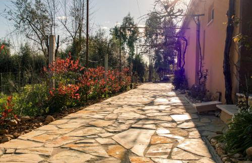 Quinta-lina de serpins - Foto 66