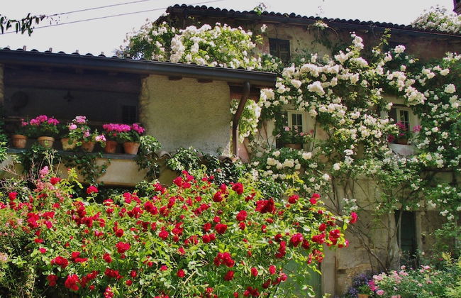 La Traversina - Agriturismo di Charme - Foto 31