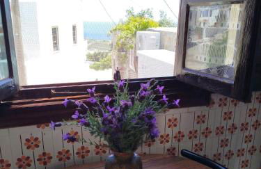 Patmos house Leo & Mary - Foto 4