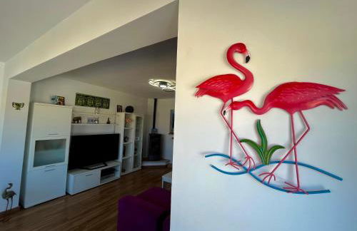 Apartamento Monica - Foto 22