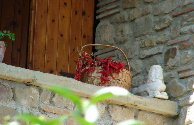 Borgo del Senatore - Photo 57