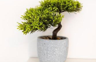 Cardiff Bay Retreat 2 Bed Apartment Free Parking - Foto 47