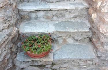 Sauze d'Oulx ciabot la garitüla with garden - wifi- close to the chairlift - Photo 48