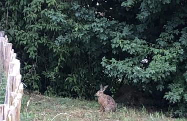 MP 1 Ankerplatz - Foto 13