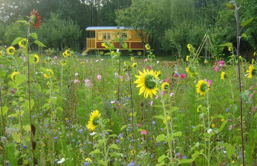 Les Roulottes de Saint-Sulpice - Foto 4