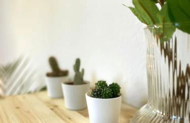 P6 - Familienwohnung am Park und Saale - Foto 24