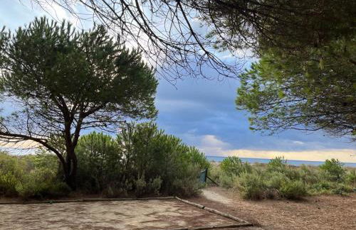 MAISONS BORD DE MER- MARINE DE SORBO - Gîtes 3 épis - Foto 10