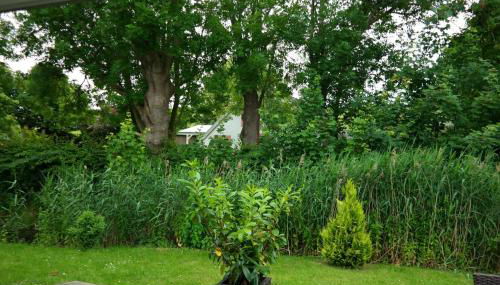 Haus Deichschaf - Foto 4