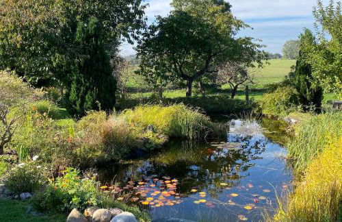 Reethaus Vilmnitz - Ferienwohnung Goor - Foto 34