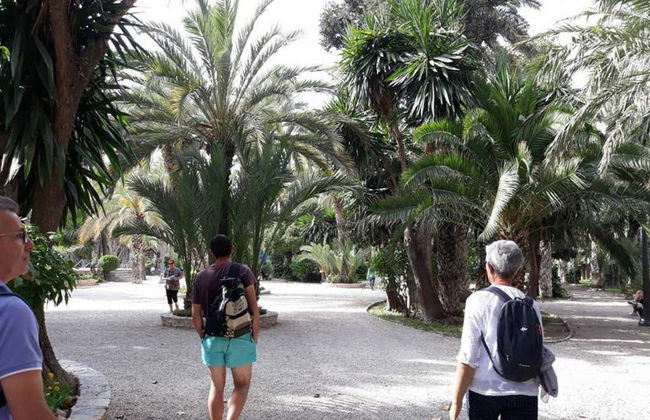 Excursión a la isla de Tabarca y el palmeral de Elche - Foto 3