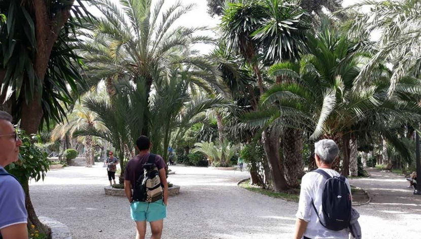 Paseando por el palmeral de Elche