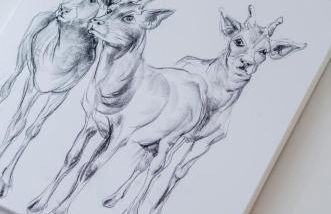 3 Bed in Wadebridge oc-p00415 - Foto 19