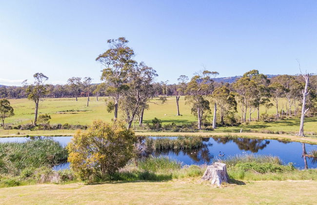 Hazelcreek Cottages - Photo 6