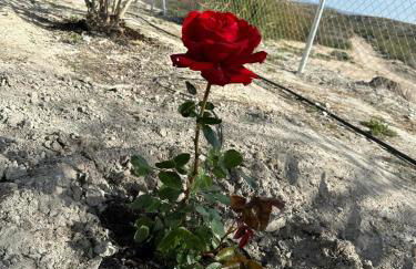 Alojamientos CUEVAS TIANA - Photo 7